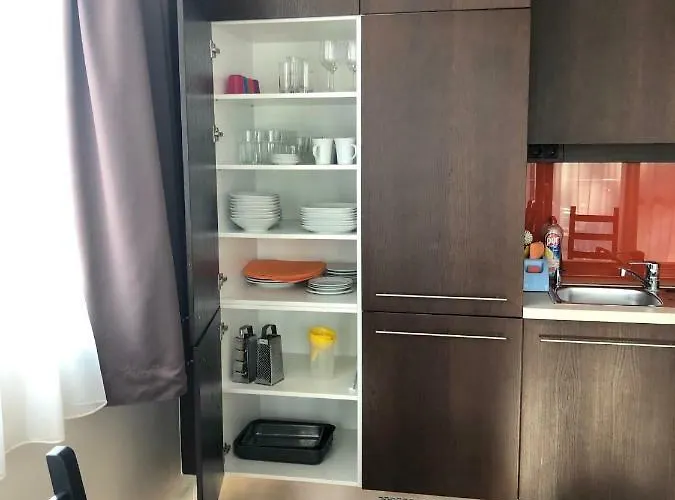 公寓式酒店 Bl Apartman